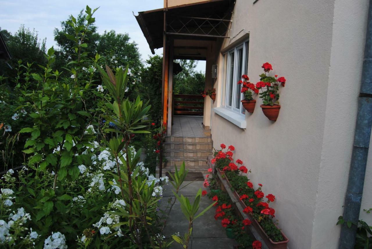 Apartamento Casa Kelemen Sovata Exterior foto